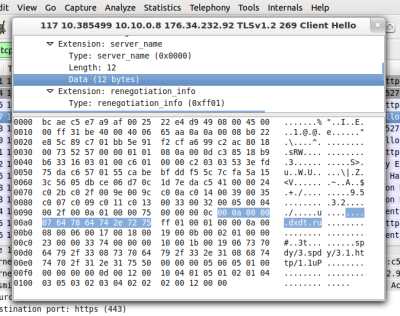SSL как защита от точечных блокировок и DPI
