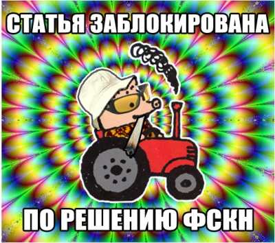 ФСКН заблокировал Википедию